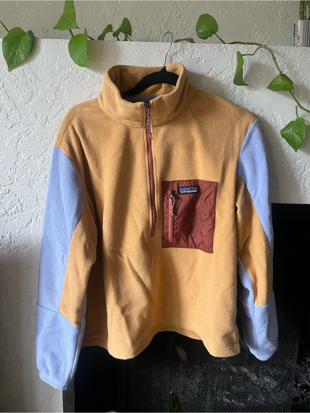 Patagonia Microdini Quarter Zip Pullover